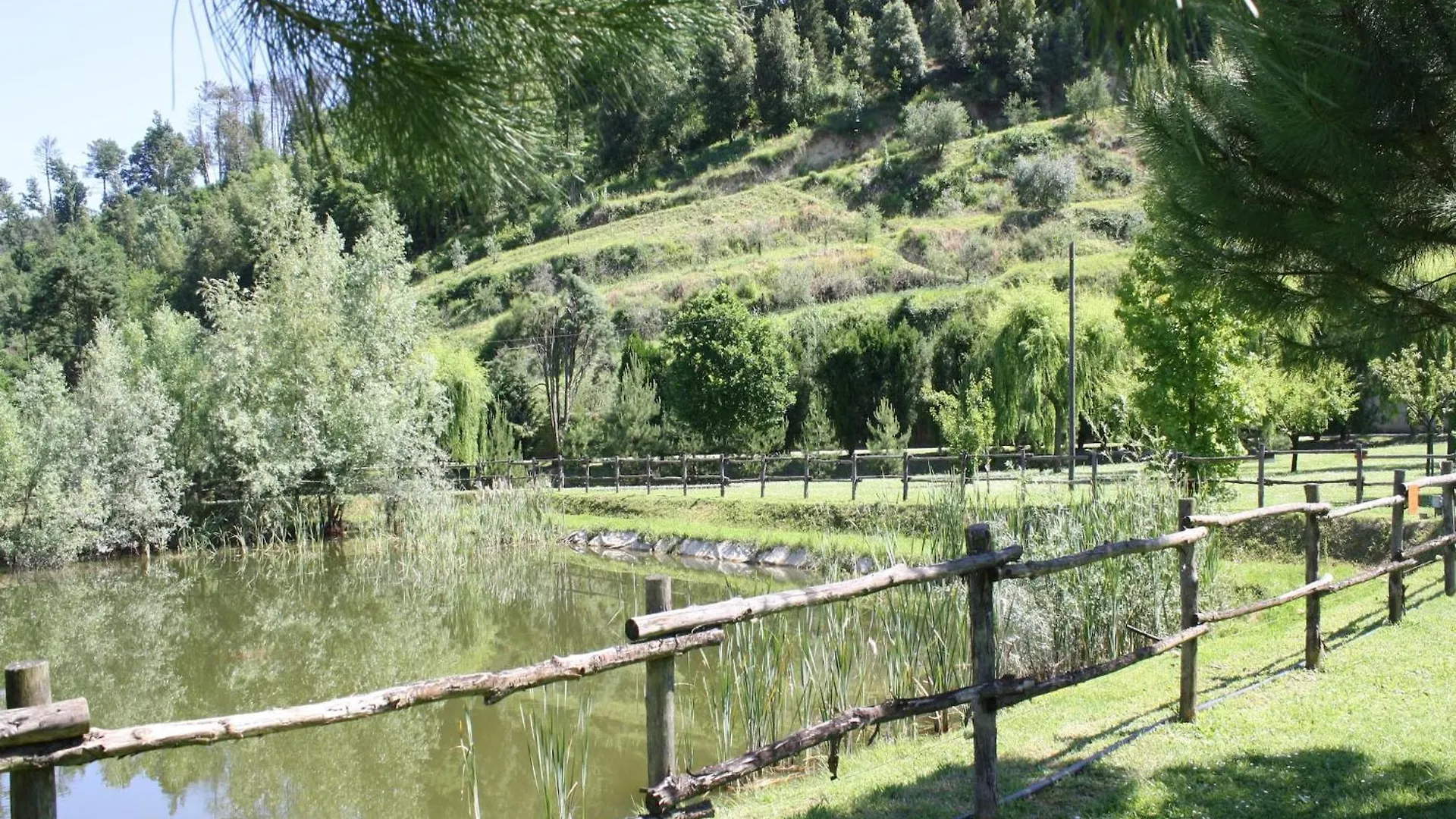 Holiday Home In Montopoli Valdarno With Pool Castel del Bosco   Castel del Bosco (Pisa)